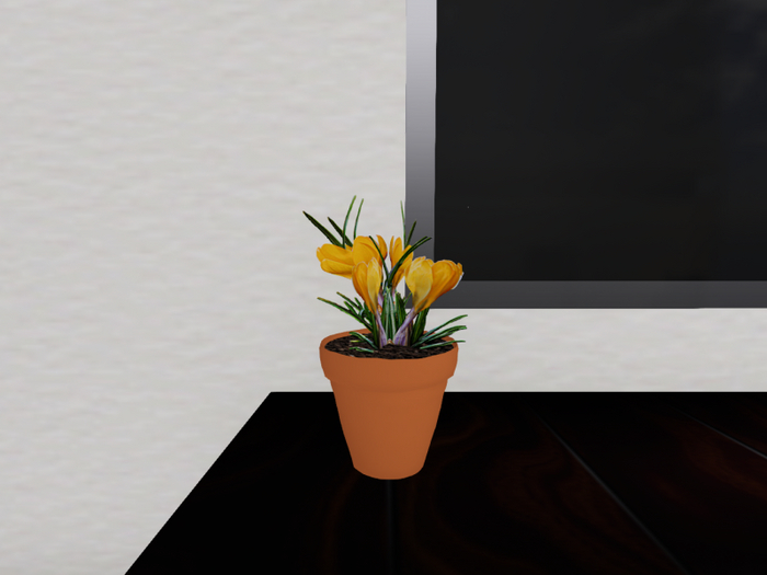 Crocuses in Yellow with Clay Pot