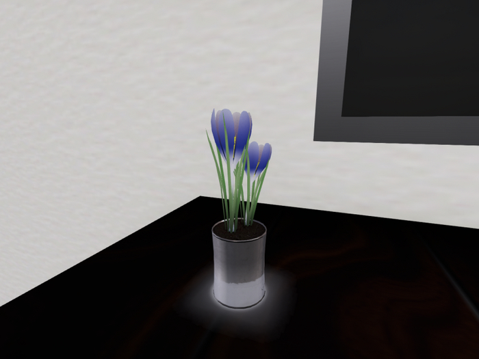 Blue Crocuses in a Silver Cup