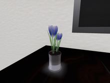Blue Crocuses in a Silver Cup