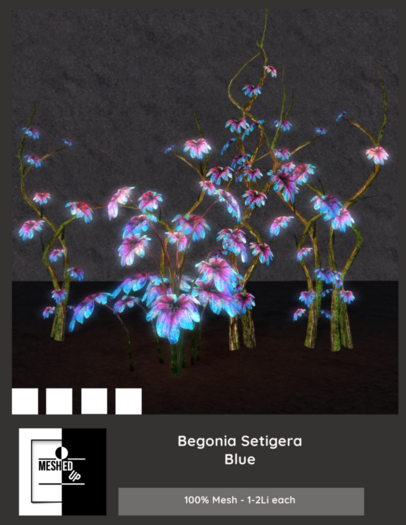 MeshedUp: Begonia Setigera Blue Pack 