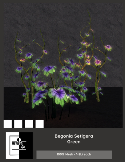 MeshedUp: Begonia Setigera Green Pack 