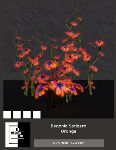 MeshedUp: Begonia Setigera Orange Pack 