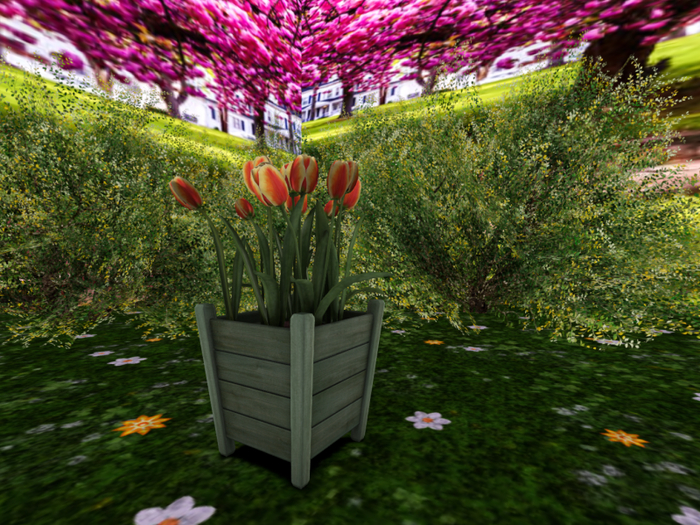 Wooden Planter with Tulips in Yellow/Red