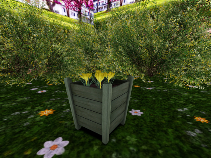 Wooden Planter with Yellow Crocuses