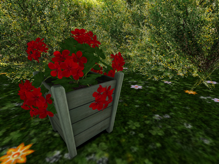 Wooden Planter with Red Geraniums