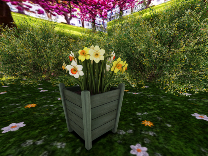Wooden Planter with Daffodils - Tricolor