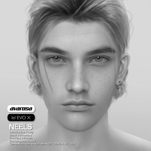 [avarosa] Neels LeL EVO X - DEMO
