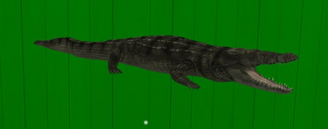 Second Life Marketplace - DFS Gator - Female