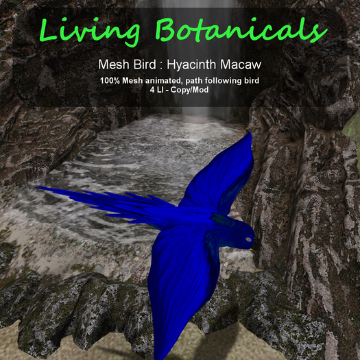 Inochi Botanicals - Macaw [Hyacinth]