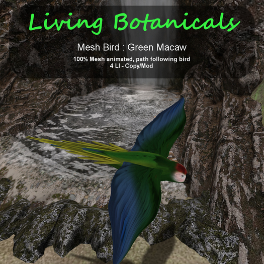 Inochi Botanicals - Macaw [Green]
