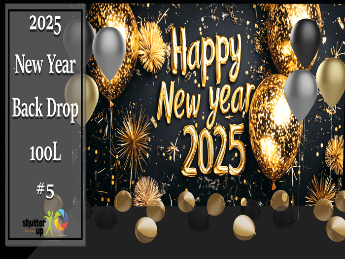 New Years Back Drop 5 2025