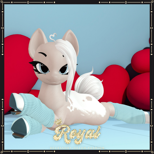 Royal. Ankle Boot + Legwarmer  [OP]