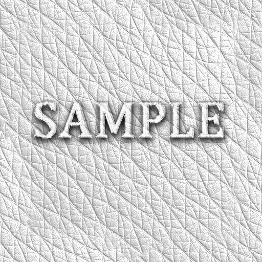 Zoy Texture [ Classic Leather Seamless 02 ] B