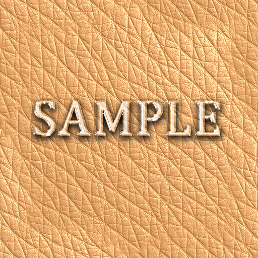 Zoy Texture [ Classic Leather Seamless 02 ] G
