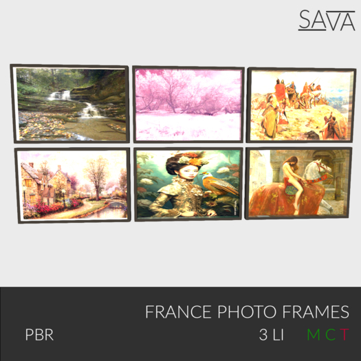 France picture frame