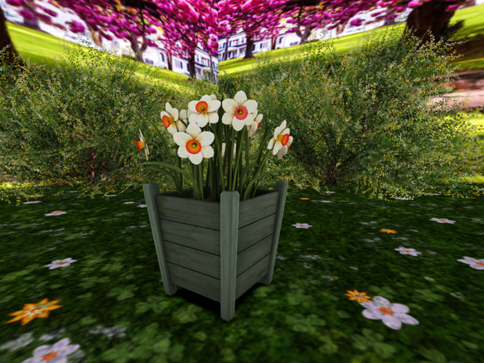 Wooden Planter with Daffodils in White/Yellow