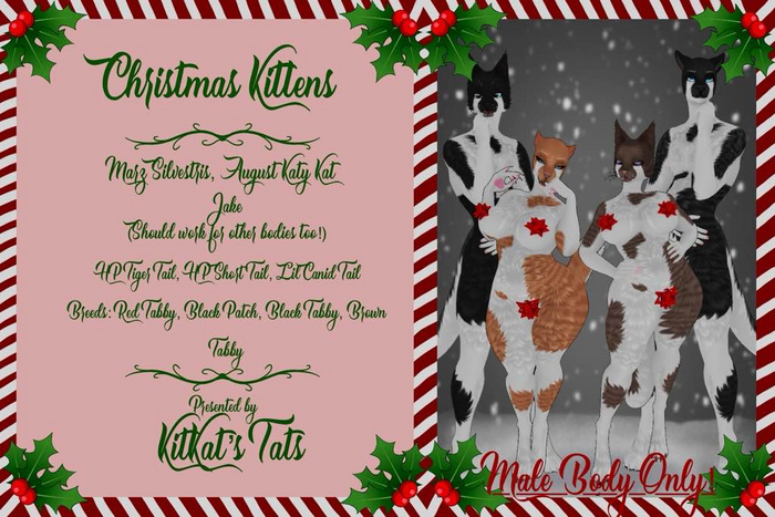[KK] Christmas Kitten -  Male Fatpack