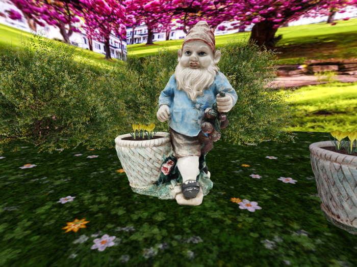 Gnome with Yellow Crocuses