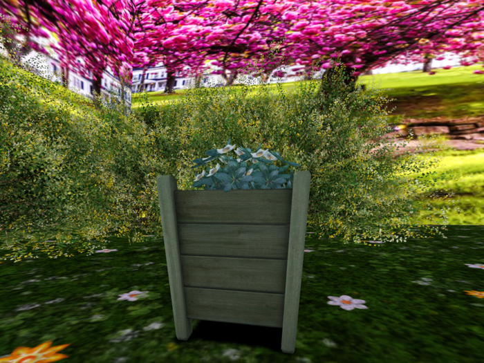 Wooden Planter with Snow Rose