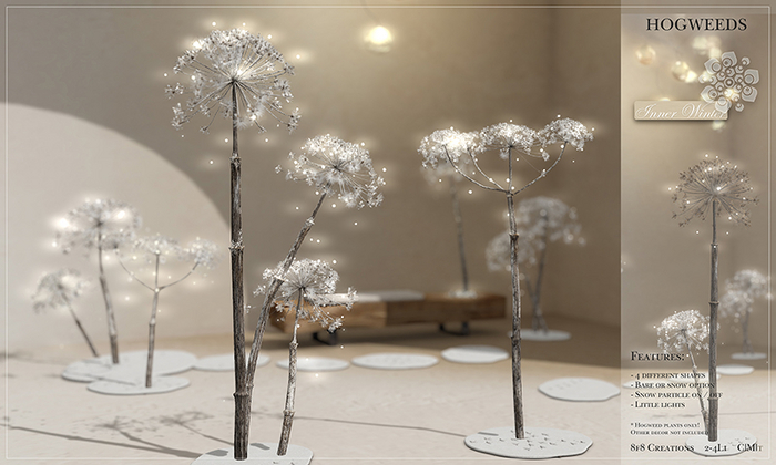 8f8 - Inner Winter - Hogweeds 