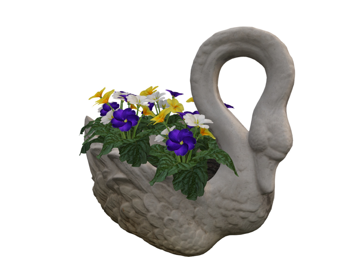 DTC - Swan planter w primroses - 6LI