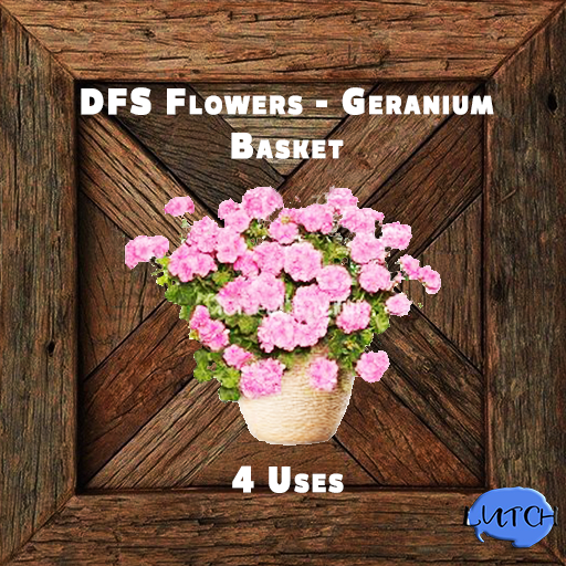 DFS Flowers - Geranium Basket 