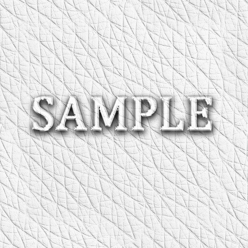 Zoy Texture [ Classic Leather Seamless 03 ] G
