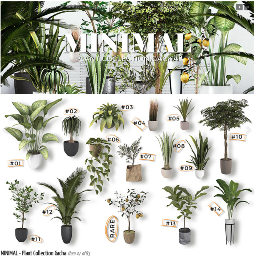 MINIMAL - Plant Collection Gacha #05