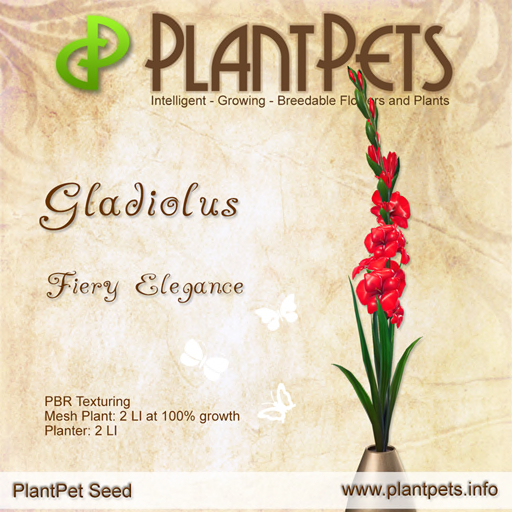 PlantPet Gladiolus *Fiery Elegance*