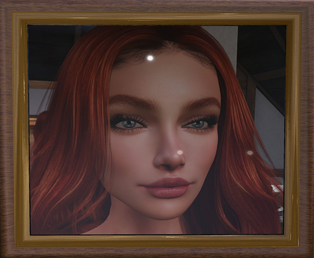 Covey Picture Frame Demo