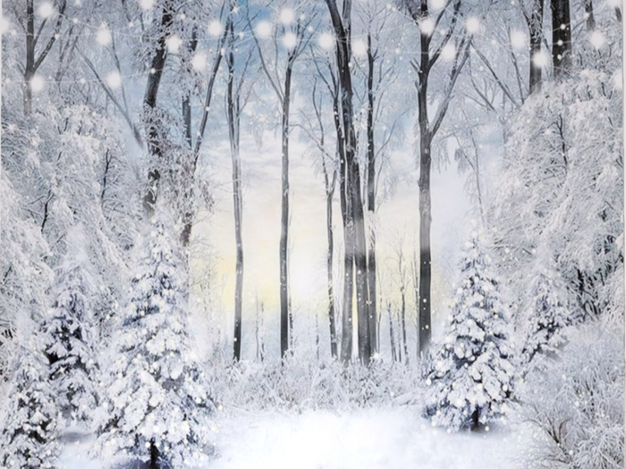 Snow Glitz Texture