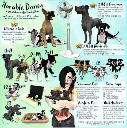 JIAN 'dorable Danes 4. Blue Companion Pup