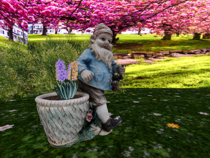 Gnome with Hyacinths in Blue and Orange