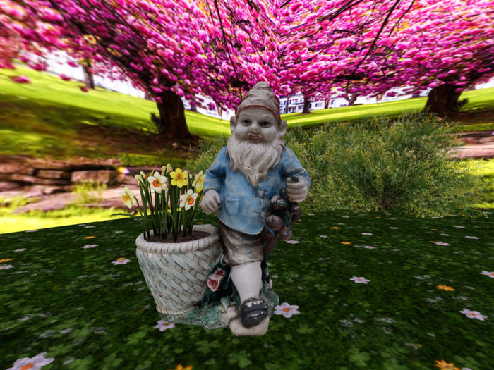  Gnome with Daffodils - Three-Colored 