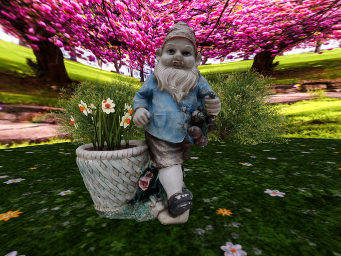 Gnome with Daffodils White/Yellow