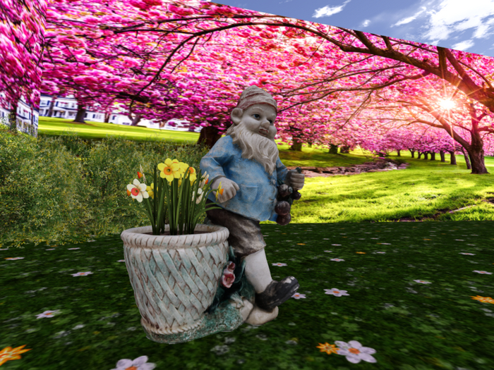 Gnome with Daffodils Two-Tone