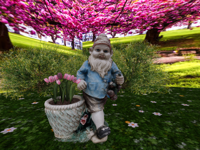 Gnome with Pink Tulips