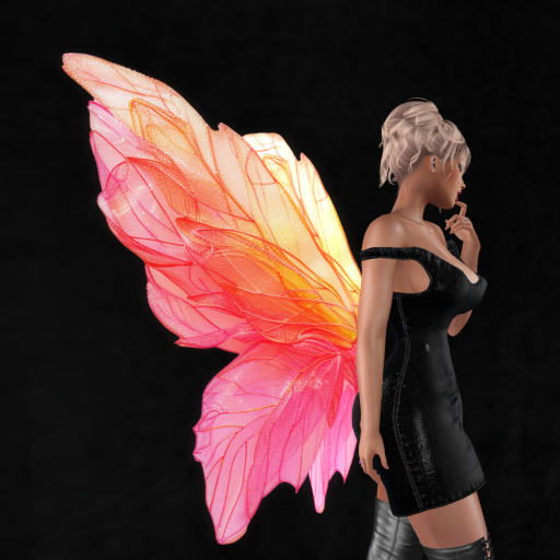 Wild Rose  Wings B6 DEMO   Unpacker HUD (add)