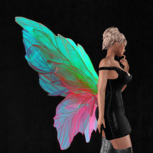 Wild Rose  Wings B9 DEMO  Unpacker HUD (add)