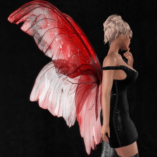 Wild Rose  Wings B16  DEMO Unpacker HUD (add)