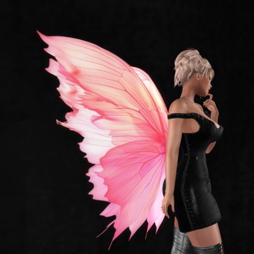 Wild Rose  Wings B20 DEMO  Unpacker HUD (add)