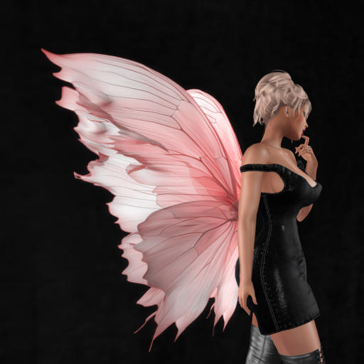 Wild Rose  Wings B21 DEMO  Unpacker HUD (add)