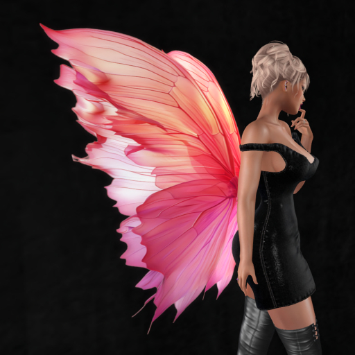 Wild Rose  Wings B25 DEMO Unpacker HUD (add)