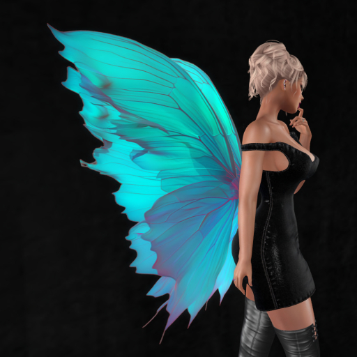 Wild Rose  Wings B26 DEMO Unpacker HUD (add)