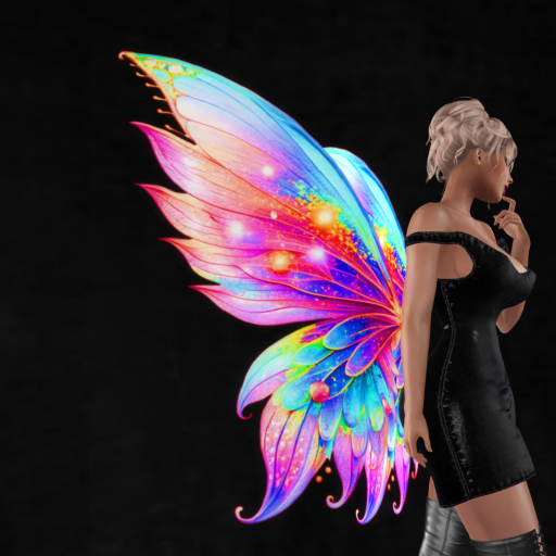 Wild Rose  Wings B29 DEMO  Unpacker HUD (add)
