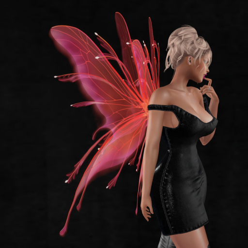 Wild Rose  Wings B34  DEMO Unpacker HUD (add)