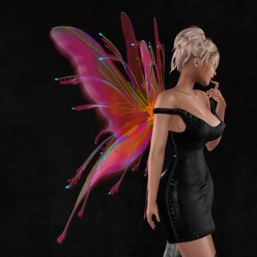 Wild Rose  Wings B36 DEMO  Unpacker HUD (add)