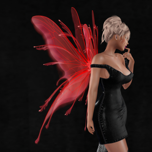 Wild Rose  Wings B37 - DEMO  Unpacker HUD (add)