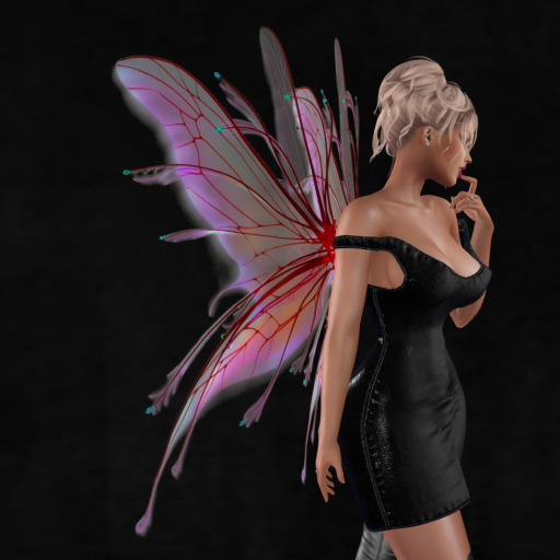 Wild Rose  Wings B40 -DEMO  Unpacker HUD (add)