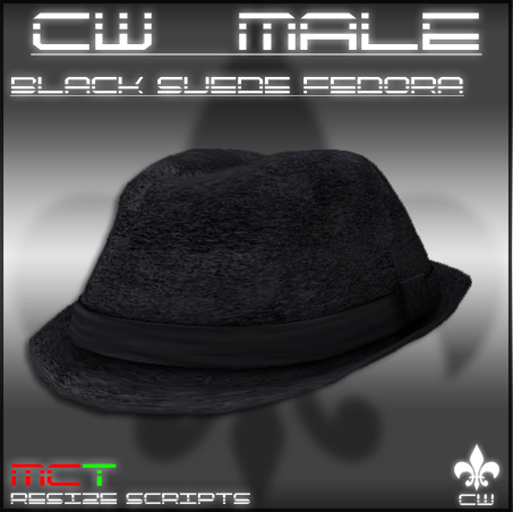 .:CW MALE:. Black Suede Fedora